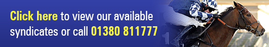 Click here to view our available syndicates or call 01380 811777