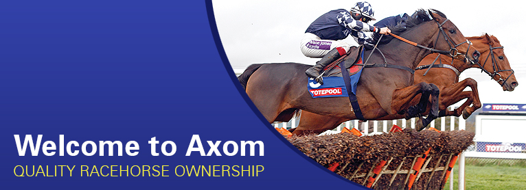 Welcome to Axom Racehorse Syndicates